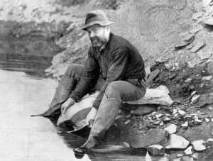 zlatokop na Berounce